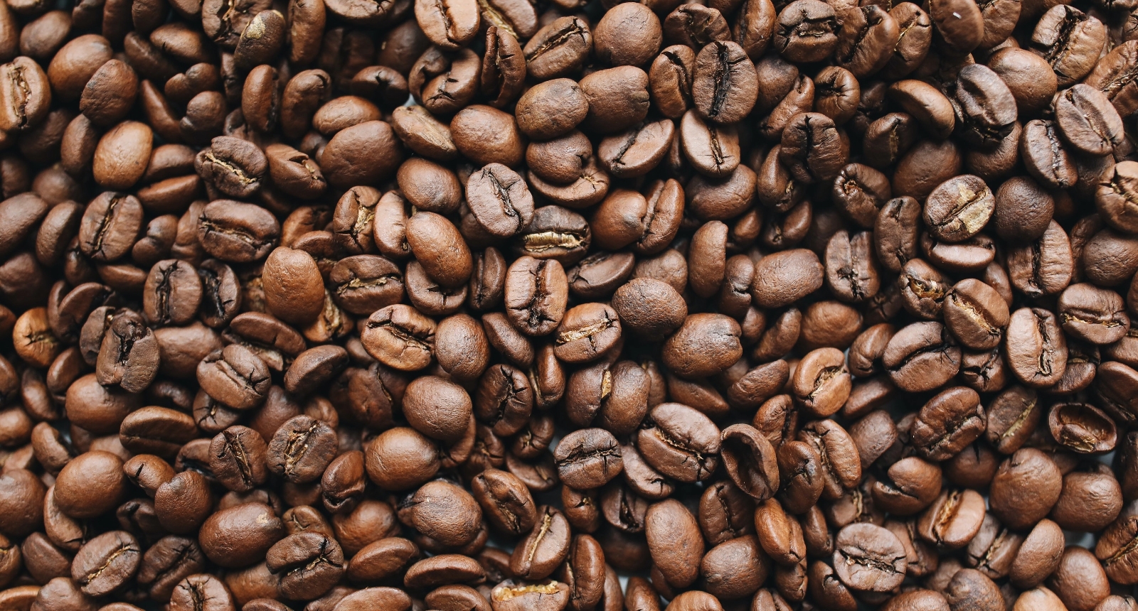 Harvesting & Processing Coffee